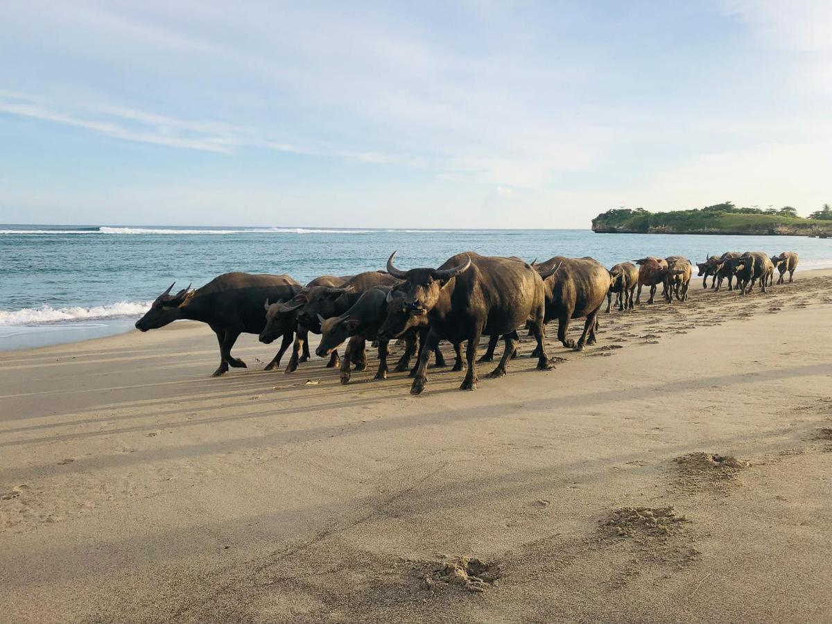 Sumba Beach House Waikabubak 外观 照片